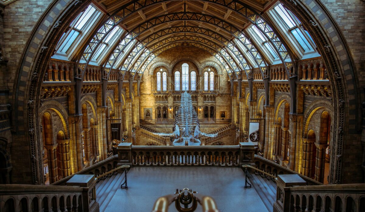 Vista del hall principal del Museo de Historia Natural en Londres con su arquitectura impresionante