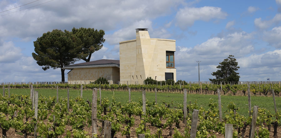 Château Le Pin rodeado de exuberantes viñedos en Burdeos.