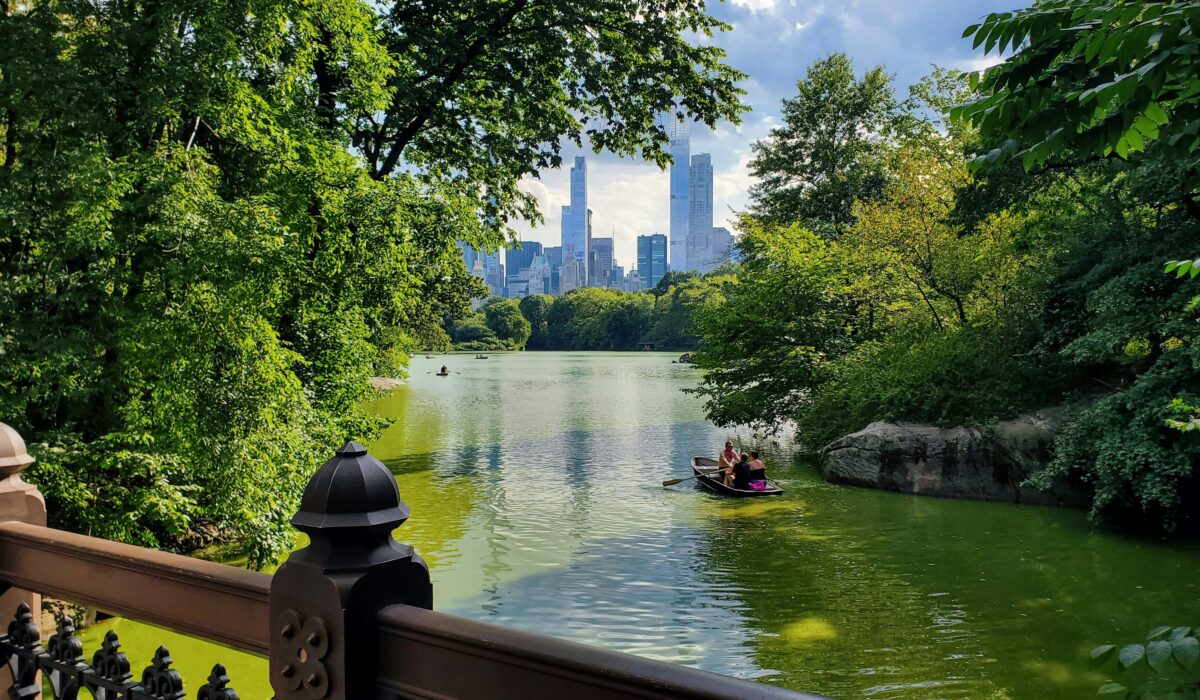 Vista del skyline de Nueva York desde Central Park rodeado de vegetación.