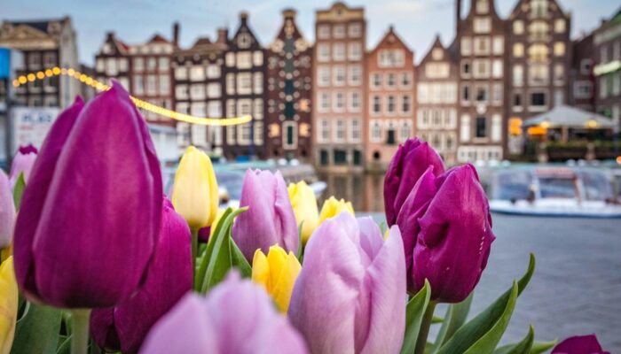 Qué hacer en Ámsterdam en un día: Itinerario de visita