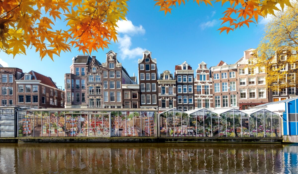 Mercado de las Flores Bloemenmarkt en Ámsterdam, lleno de coloridos tulipanes y flores