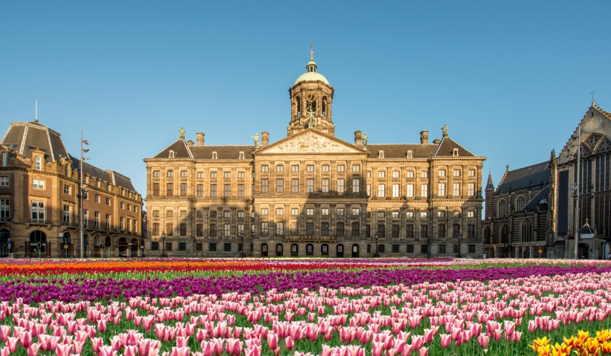 Tulipanes en la Plaza de Dam con el Palacio Real de Ámsterdam