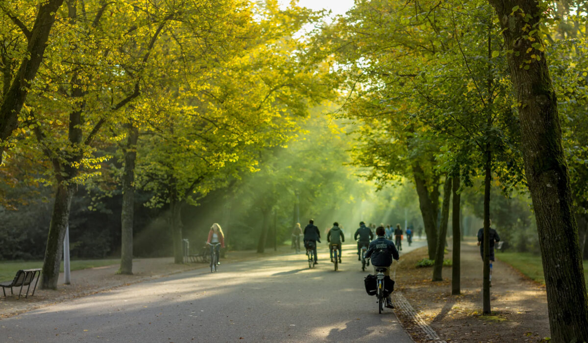 Personas en bicicleta paseando por Vondelpark en Ámsterdam