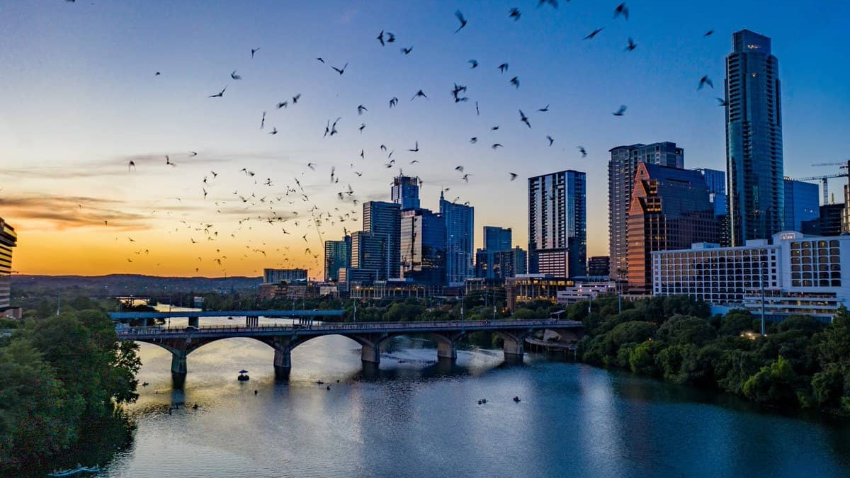 Vista del Bat Bridge al atardecer con murciélagos volando y el skyline de Austin de fondo.