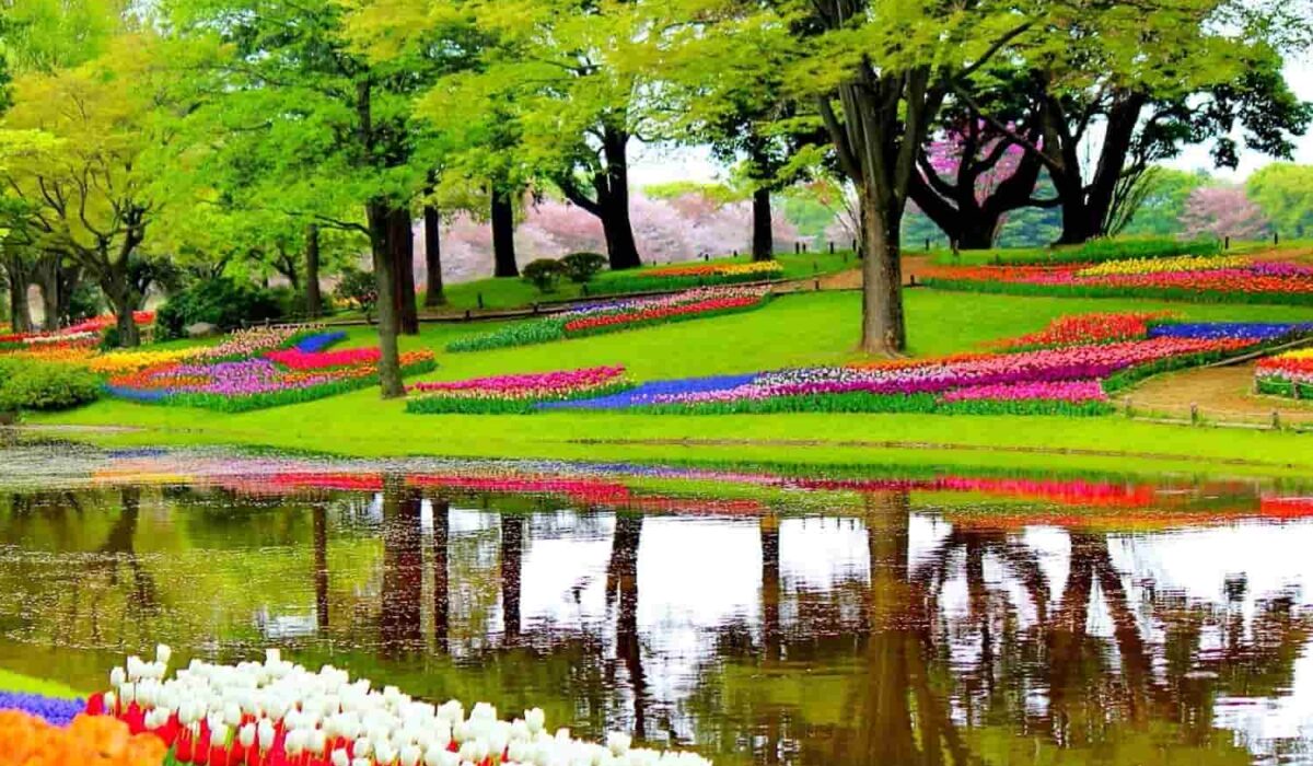 Jardín Botánico de Ámsterdam con coloridas plantas y flores