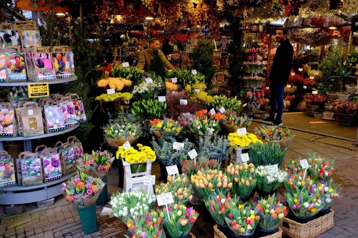 Qué hacer 2 días en Ámsterdam: recorrer el mercado flotante de flores de Bloemenmarkt y descubrir sus coloridos tulipanes