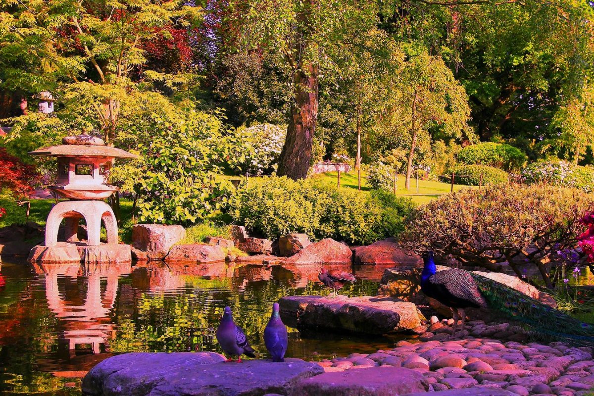 Jardines Japoneses en Holland Park, Londres Jardín de Kyoto | Guia para ver Londres en 4 días