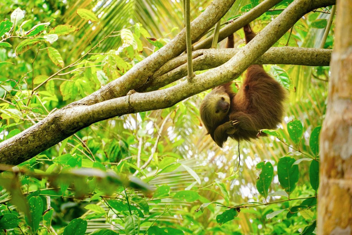 Costa Rica, un destino ideal donde viajar en marzo a donde ir en marzo