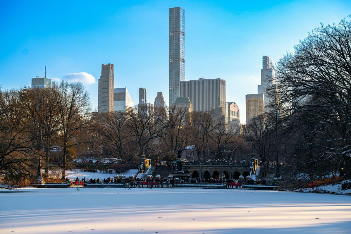 ¡Central Park en invierno!