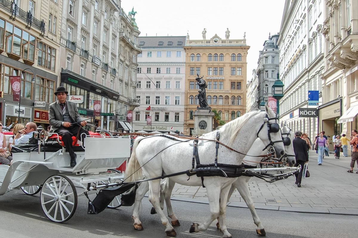 La mejor zona donde alojarse en Viena para estar cerca de todo mejor zona alojamiento viena