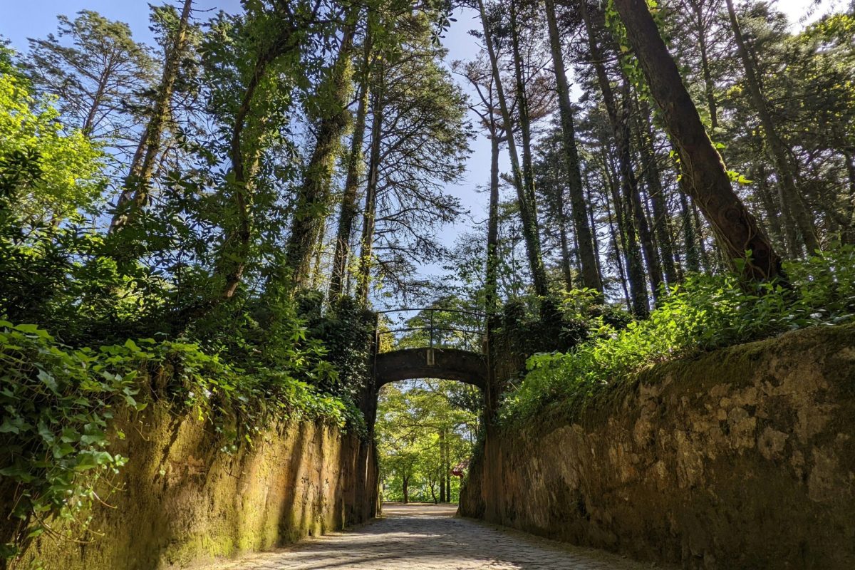 Cómo llegar a Sintra desde Lisboa – Opciones de transporte fáciles y rápidas Cómo llegar a Sintra desde Lisboa