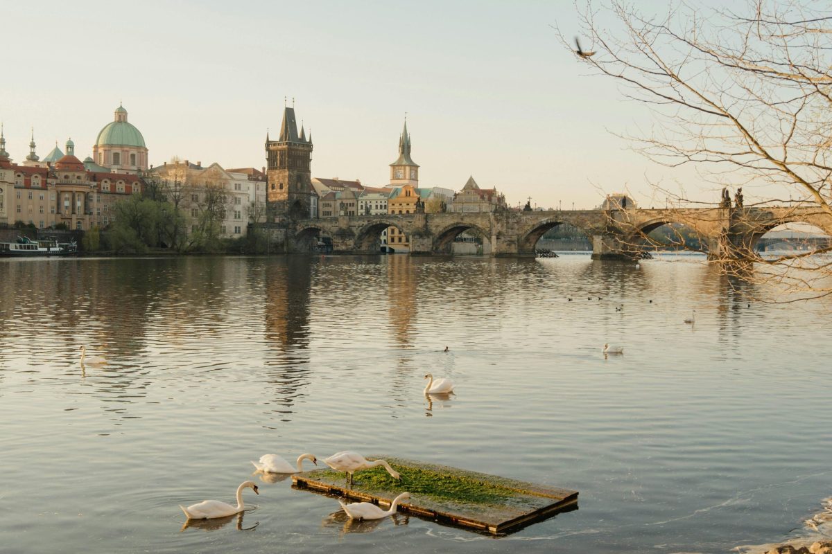 Consejos para alojarse en Praga – Cómo encontrar el mejor alojamiento Consejos para elegir buen alojamiento en Praga