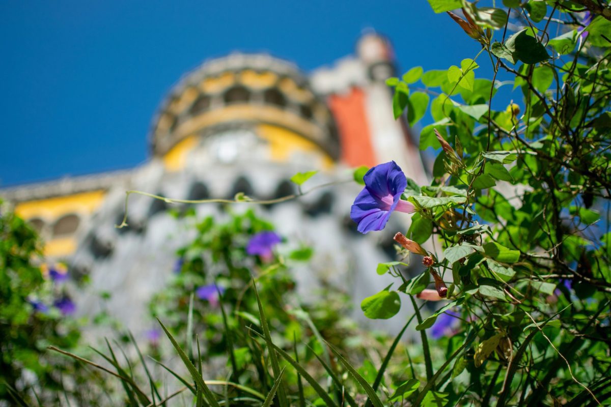 Qué ver en Sintra – Guía completa con mapa y rutas imperdibles Qué ver en Sintra