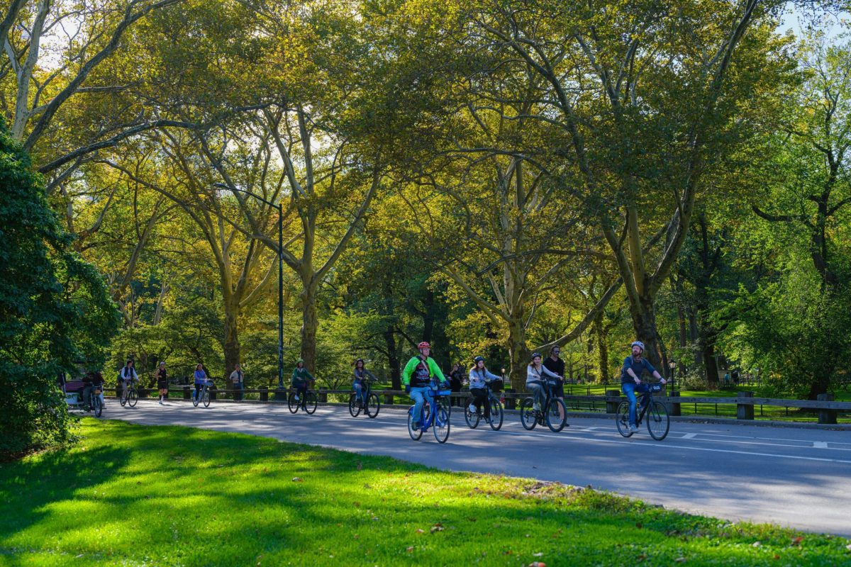 Central Park en bicicleta | Qué hacer en Nueva York en 5 días