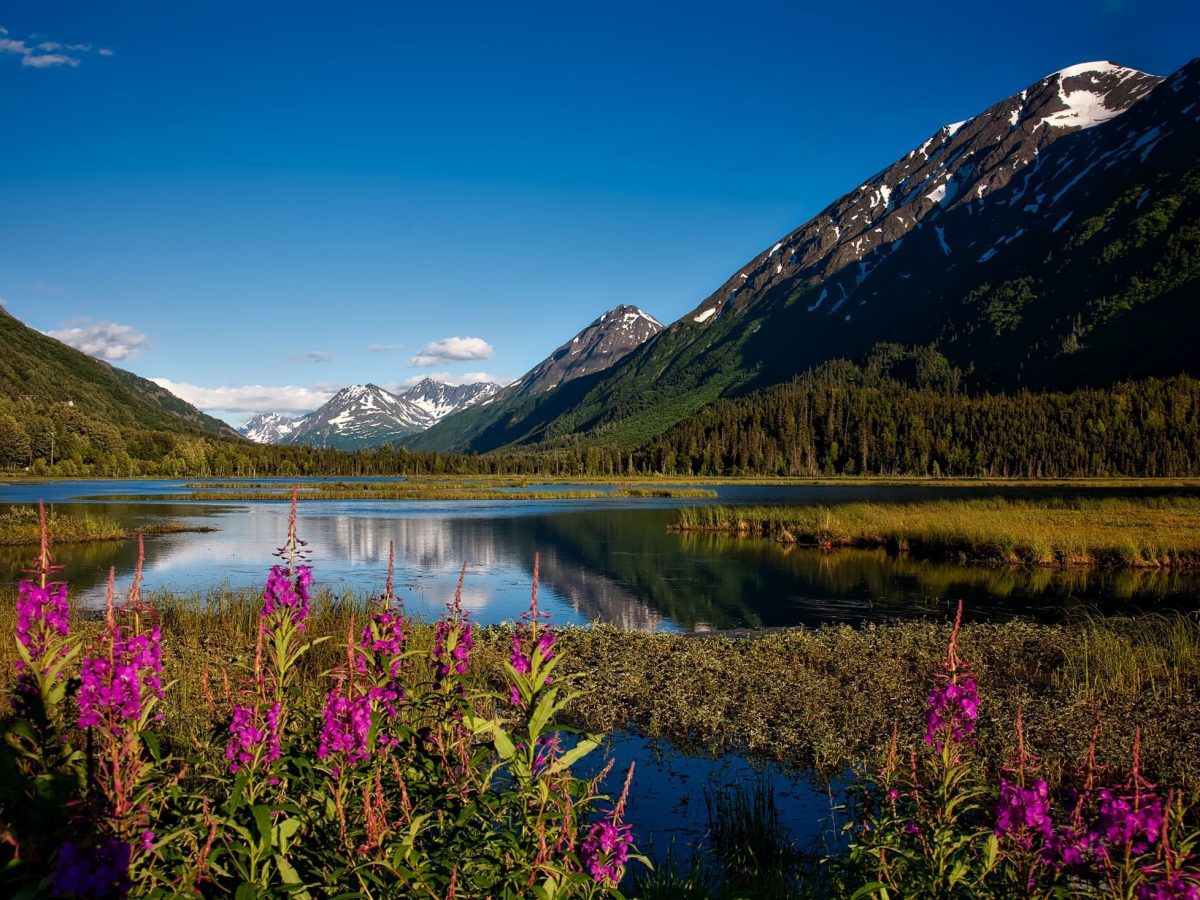 Alaska, un destino espectacular donde viajar en junio Alaska | Dónde viajar en junio